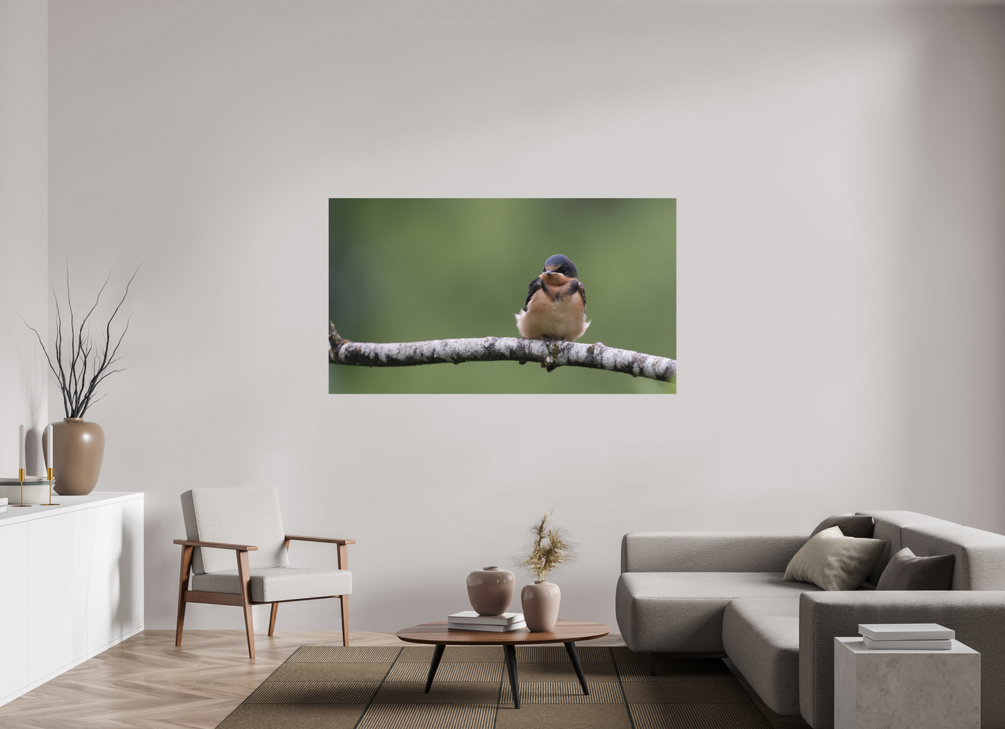 Resting Barn Swallow