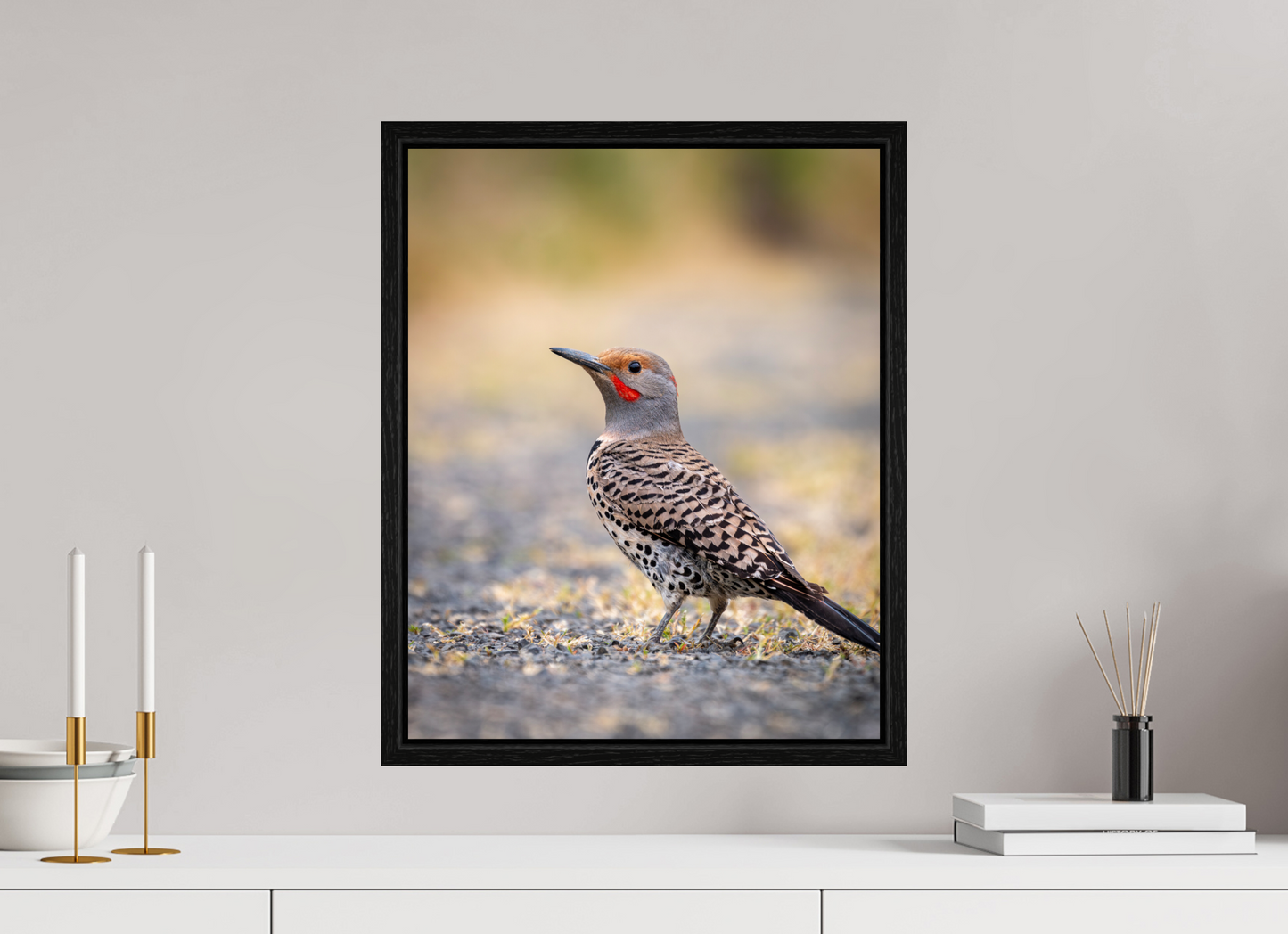 16 x 20″, Floater Frame Remarkable Northern Flicker
