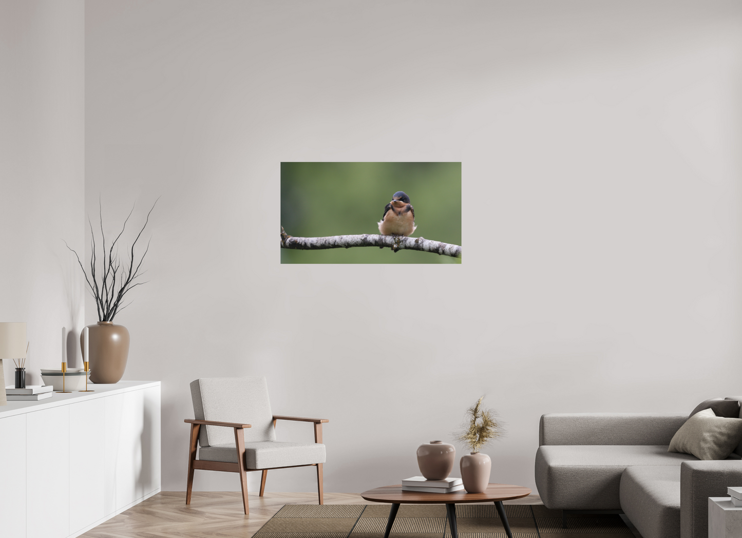 Resting Barn Swallow