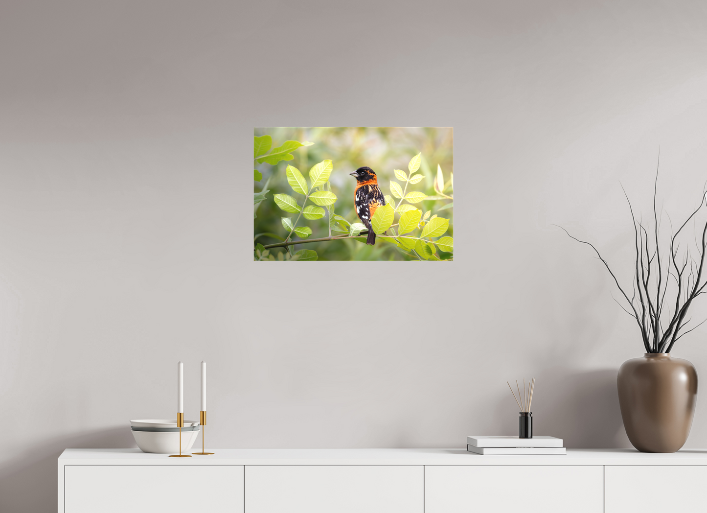 24 x 16″, Canvas Prints Poised Black Headed Grosbeak