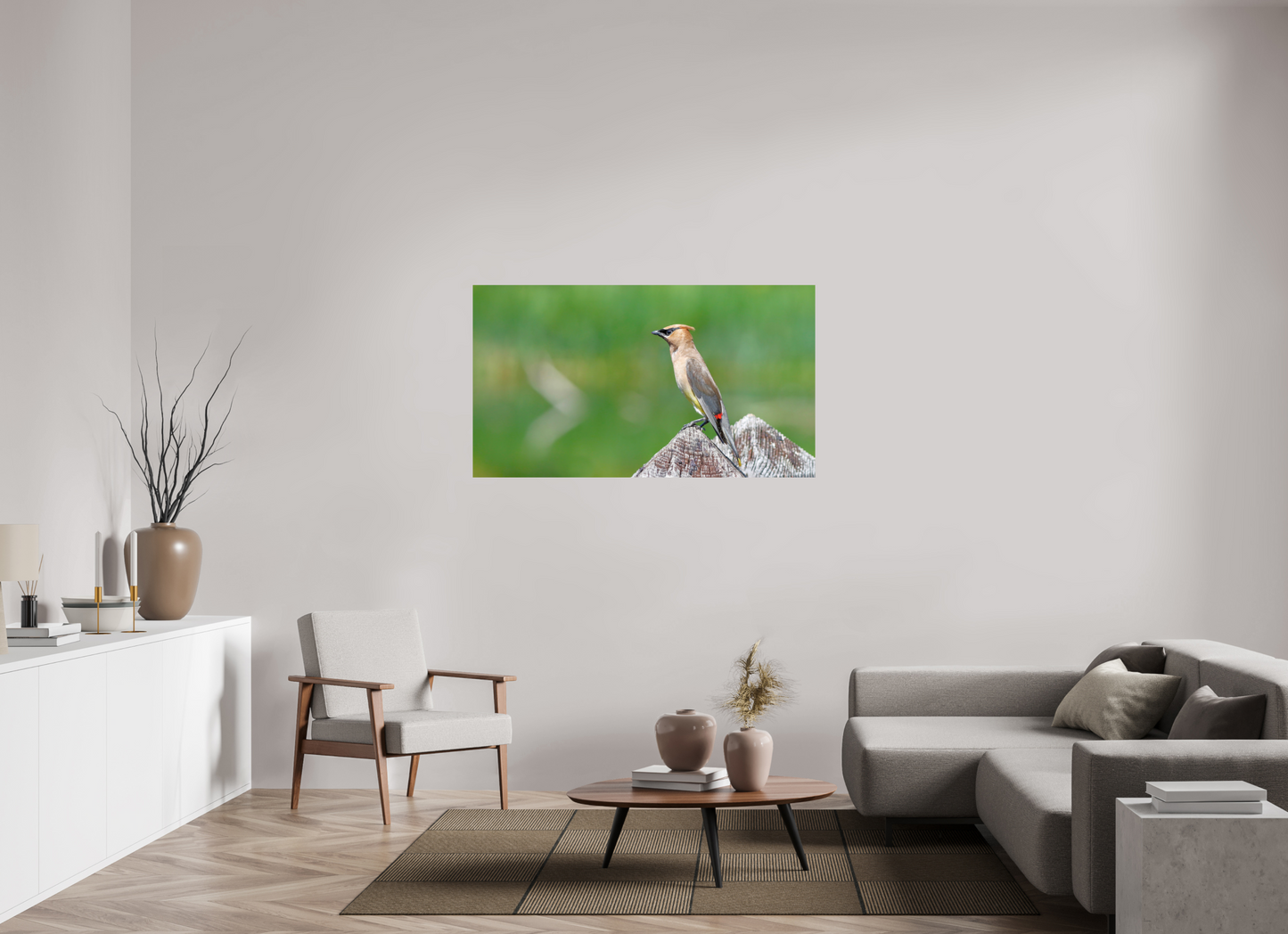 Cedar Waxwing Lookout