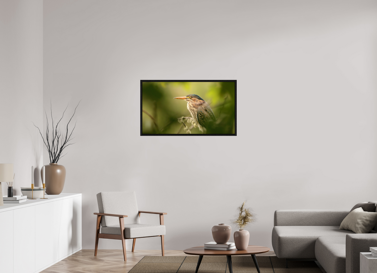 Green Heron Profile