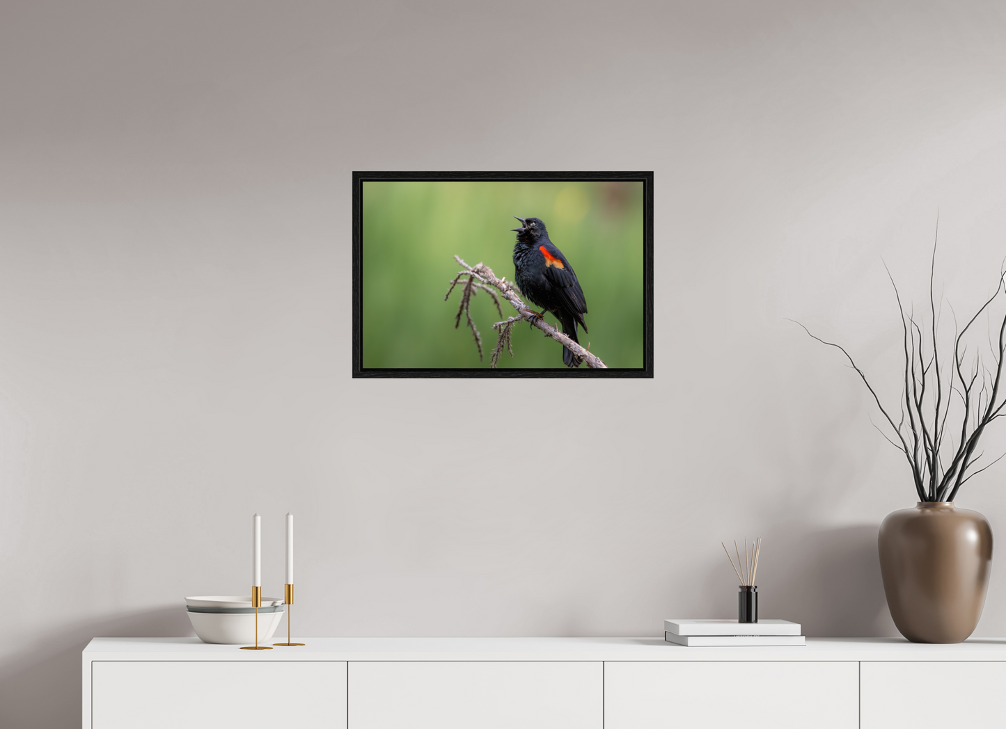 24 x 16″, Floater Frame Perched Red Winged Blackbird