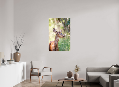 Foraging Deer