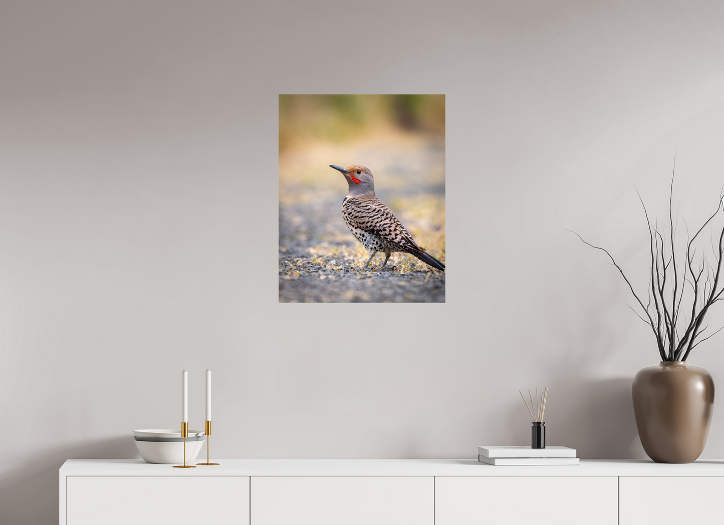 20 x 25″, HD Metal Print Remarkable Northern Flicker