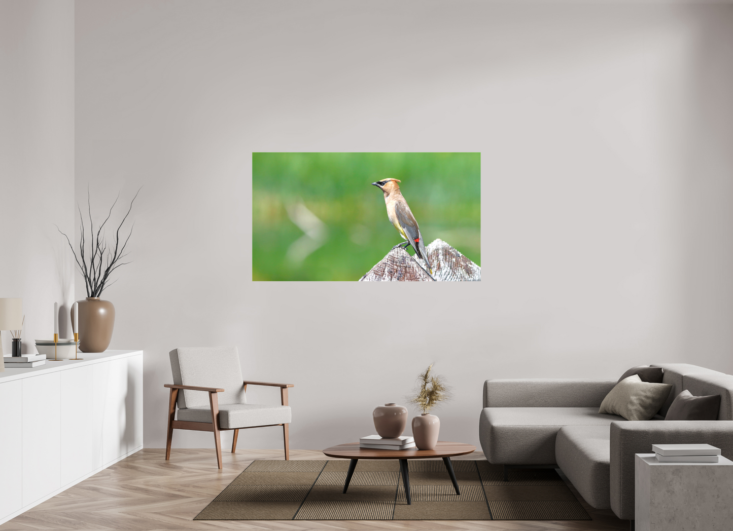 Cedar Waxwing Lookout