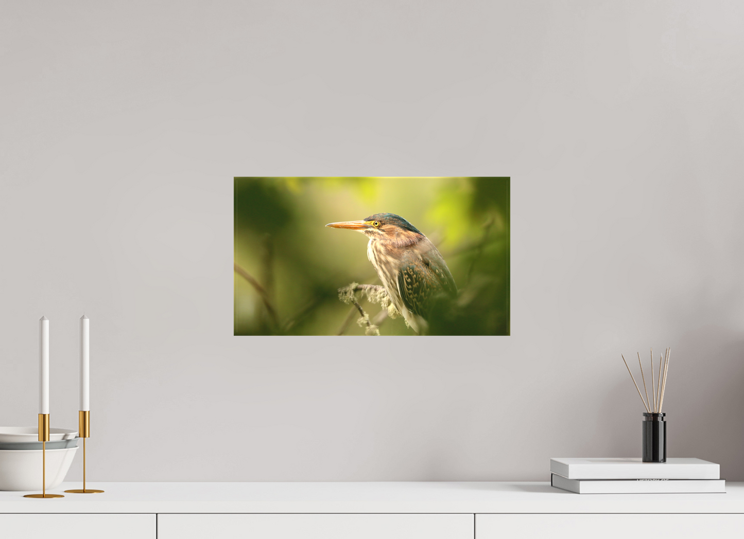 Green Heron Profile