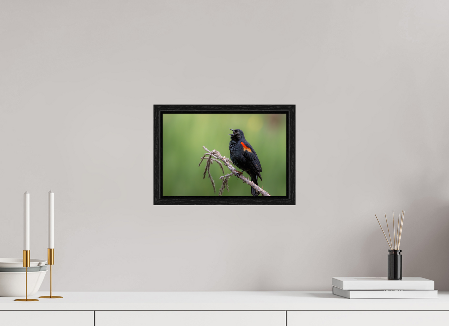 12 x 8″, Floater Frame Perched Red Winged Blackbird