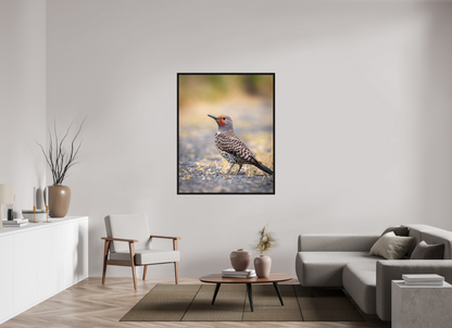 43 x 53.7″, Floater Frame Remarkable Northern Flicker