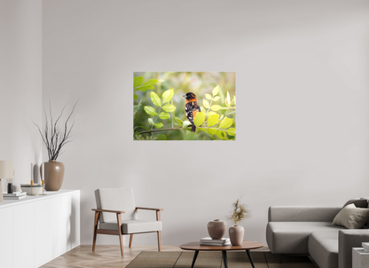 45 x 30″, Canvas Prints Poised Black Headed Grosbeak