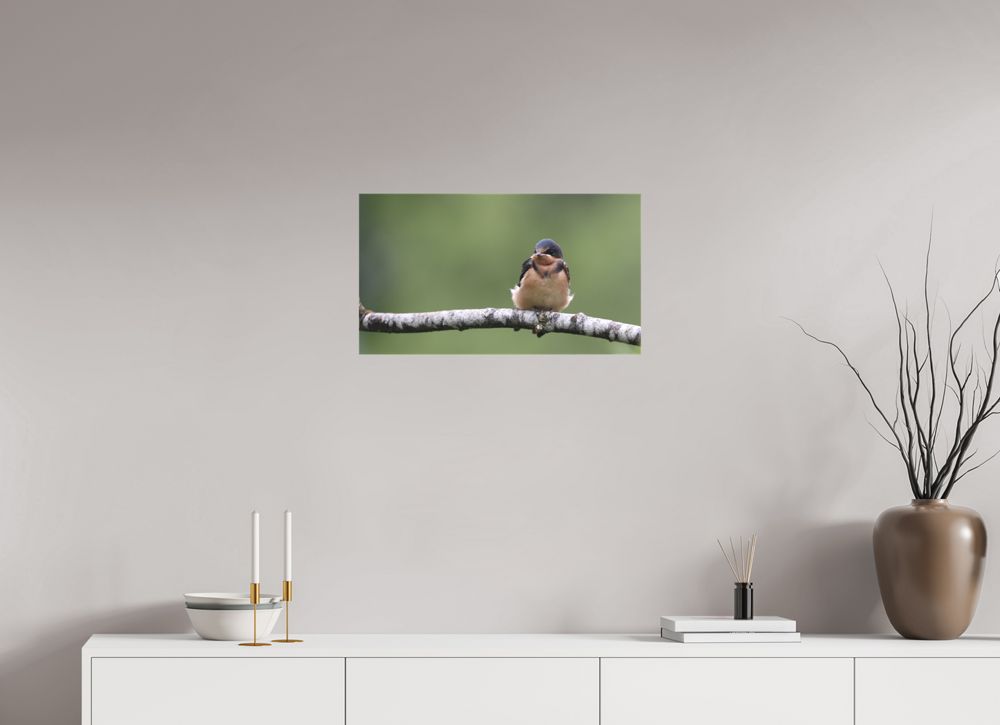 Resting Barn Swallow