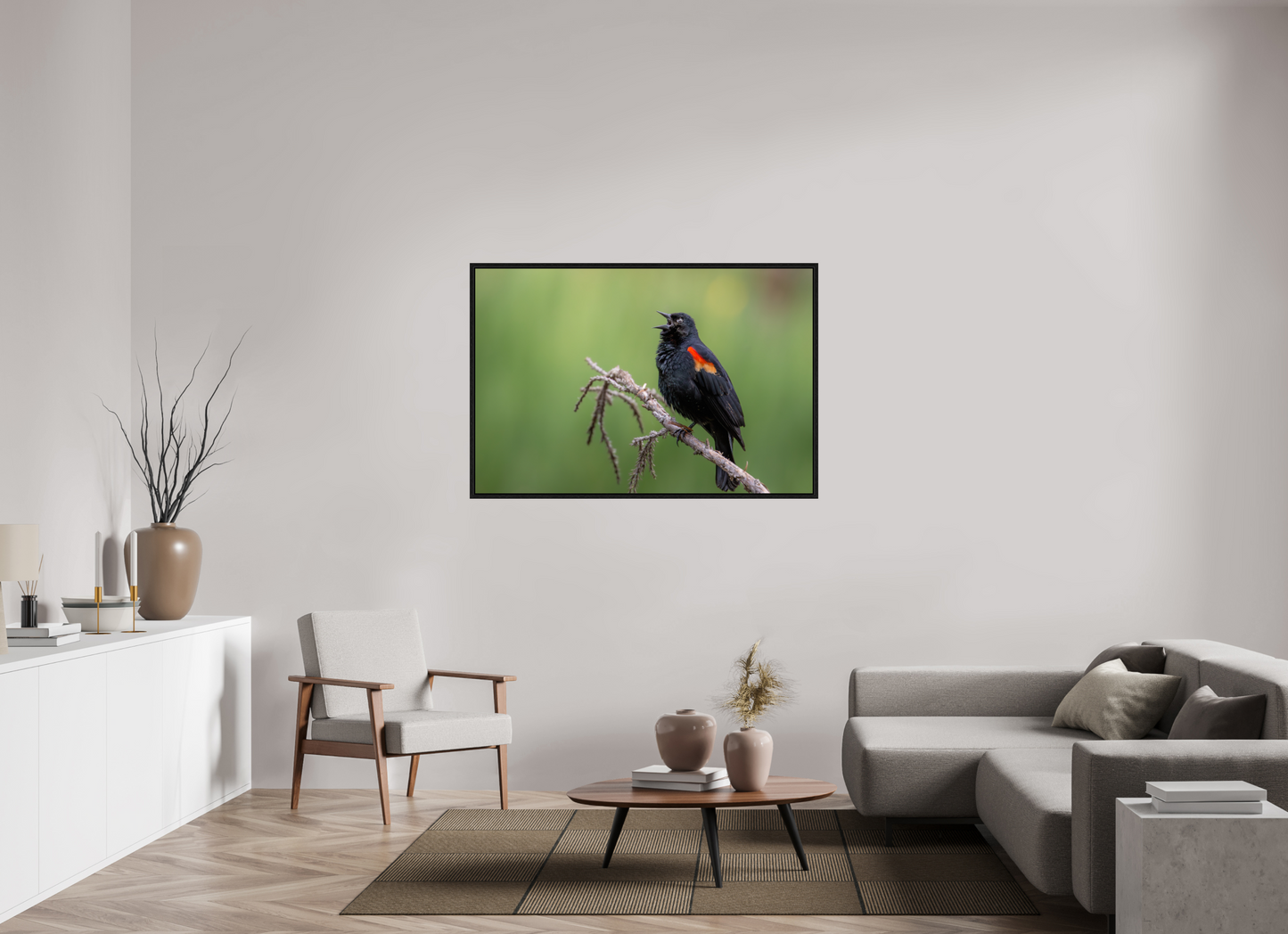 54 x 36″, Floater Frame Perched Red Winged Blackbird