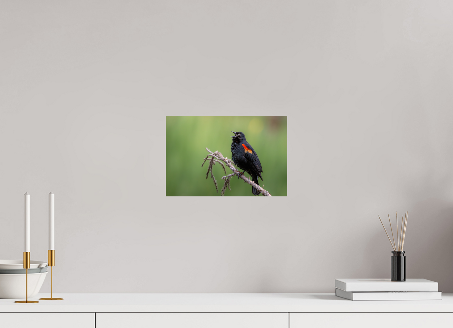 12 x 8″, Photo Print On Fuji Crystal DP II Perched Red Winged Blackbird