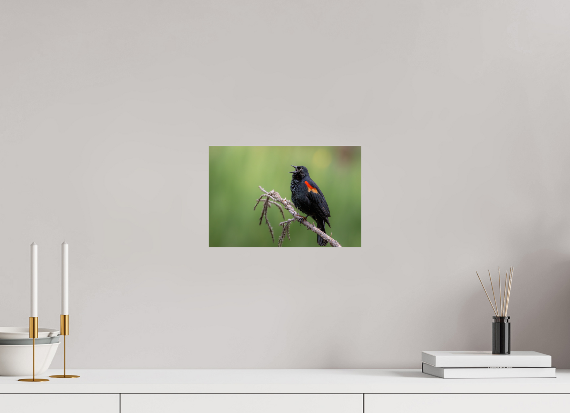 12 x 8″, Photo Print On Fuji Crystal DP II Perched Red Winged Blackbird