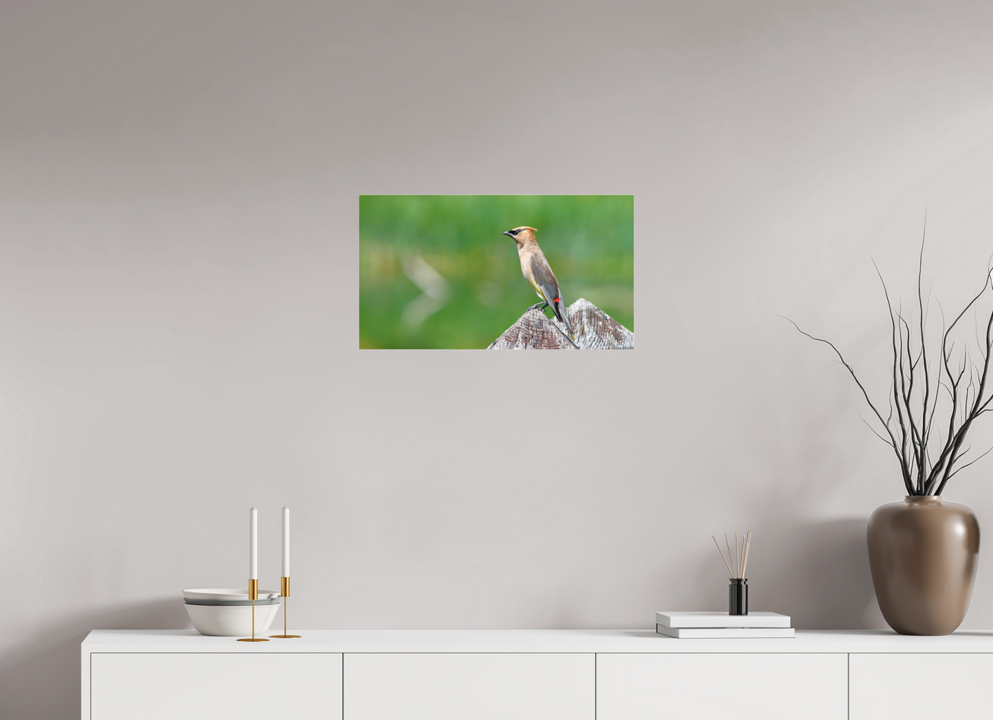 Cedar Waxwing Lookout