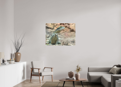 Water Dragon on Proud Rock