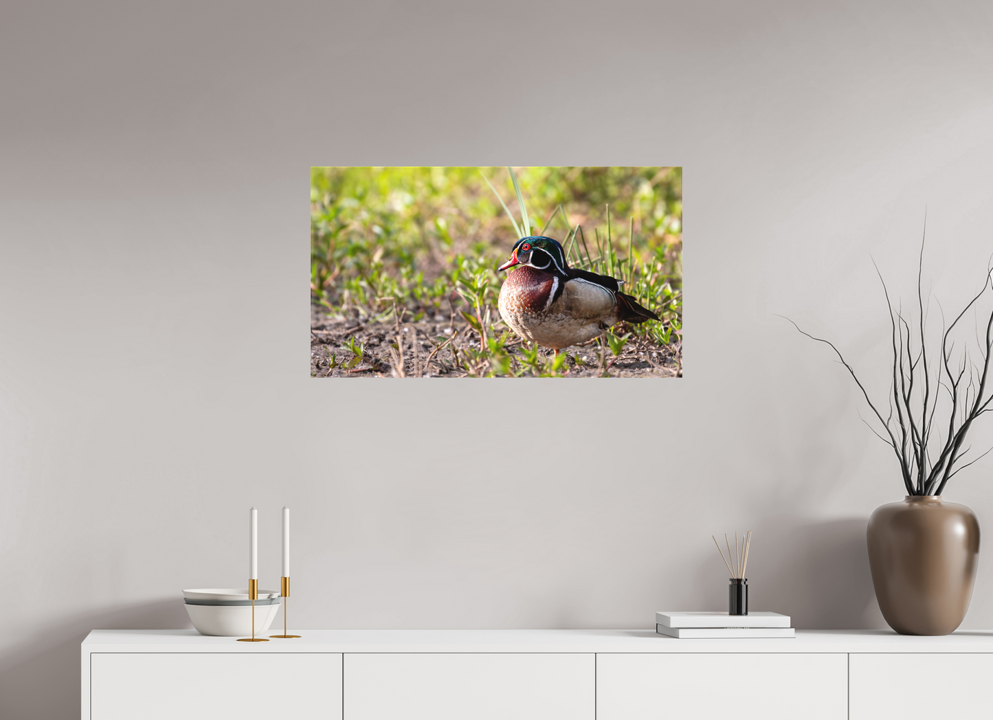 Balancing Wood Duck