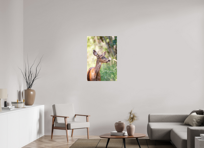 Foraging Deer