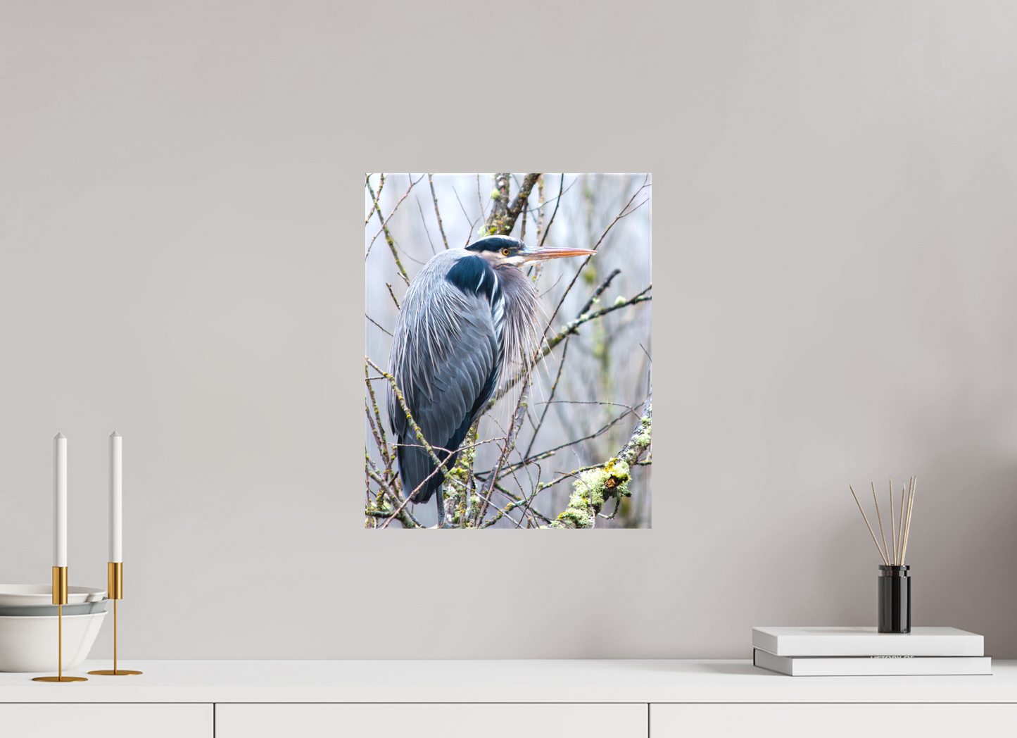 Rainy Great Blue Heron