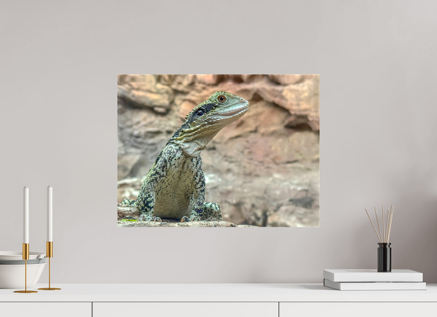 Water Dragon on Proud Rock