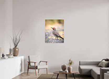 28 x 35″, Canvas Prints Remarkable Northern Flicker