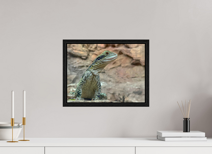 Water Dragon on Proud Rock