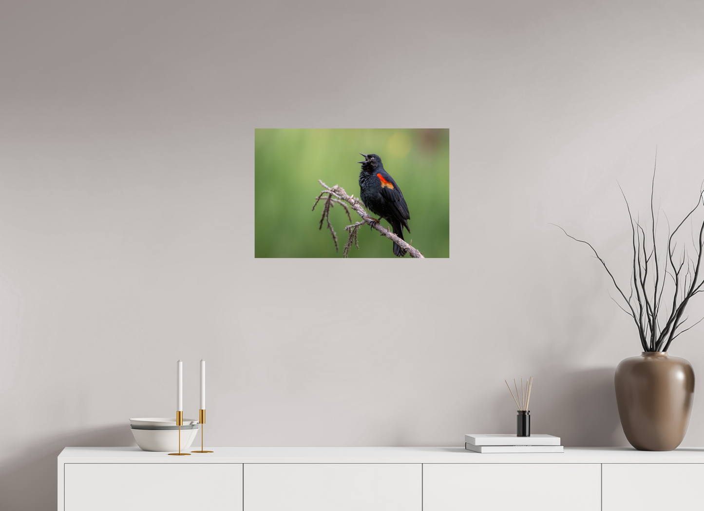 24 x 16″, HD Metal Print Perched Red Winged Blackbird