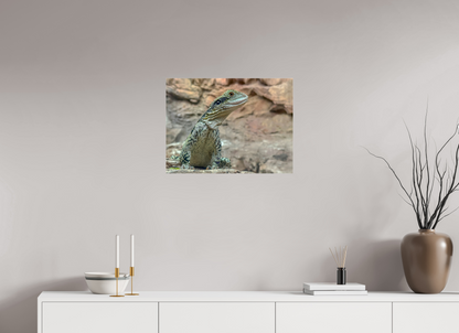 Water Dragon on Proud Rock