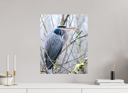 Rainy Great Blue Heron