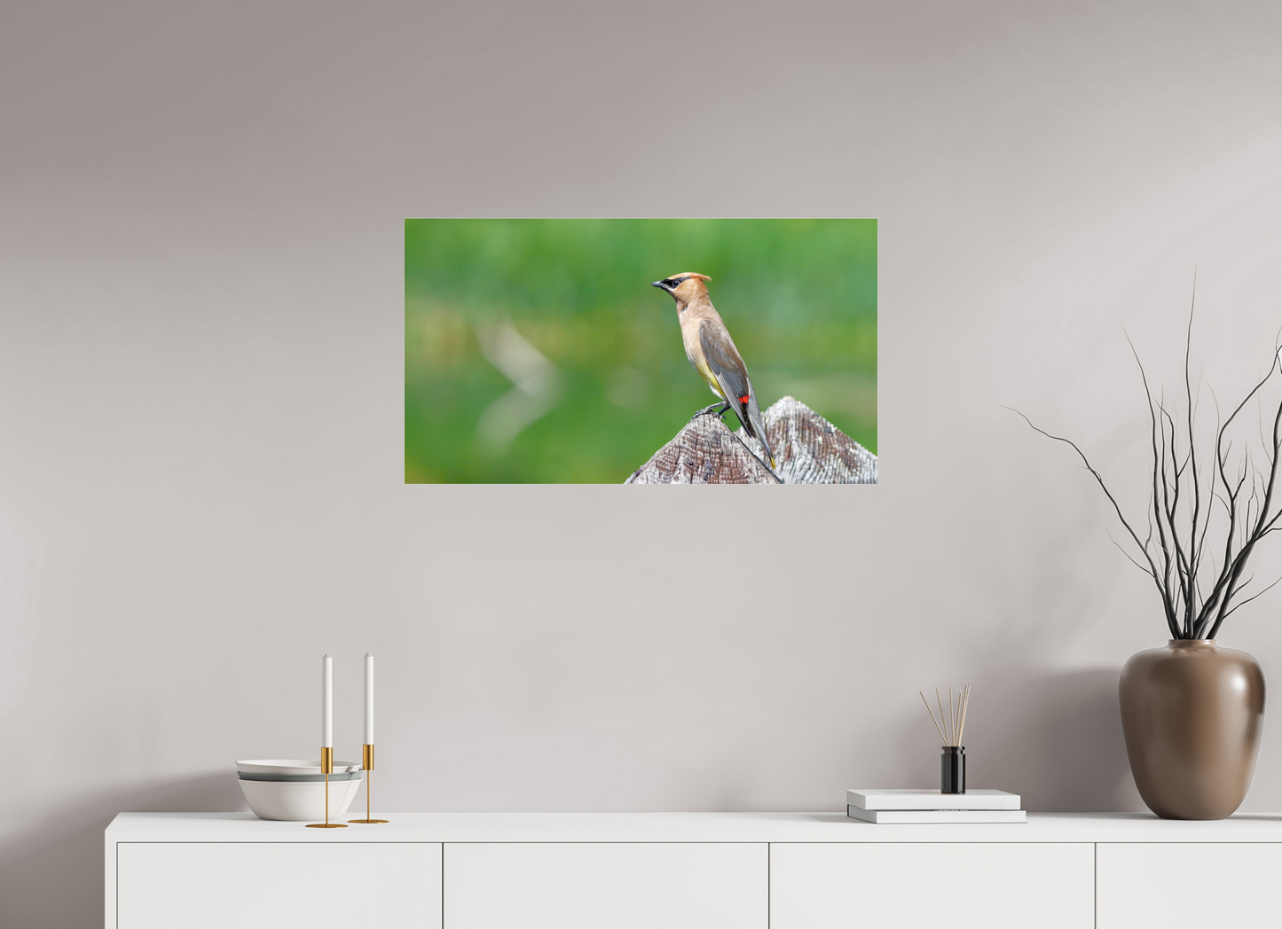 Cedar Waxwing Lookout