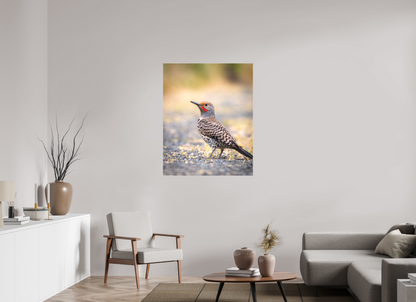 35 x 43.7″, Canvas Prints Remarkable Northern Flicker