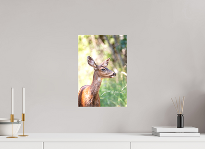 Foraging Deer