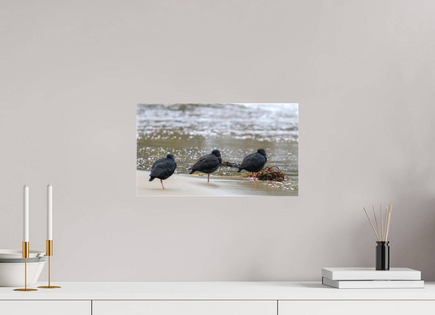 Beach Resting Oyster Catchers
