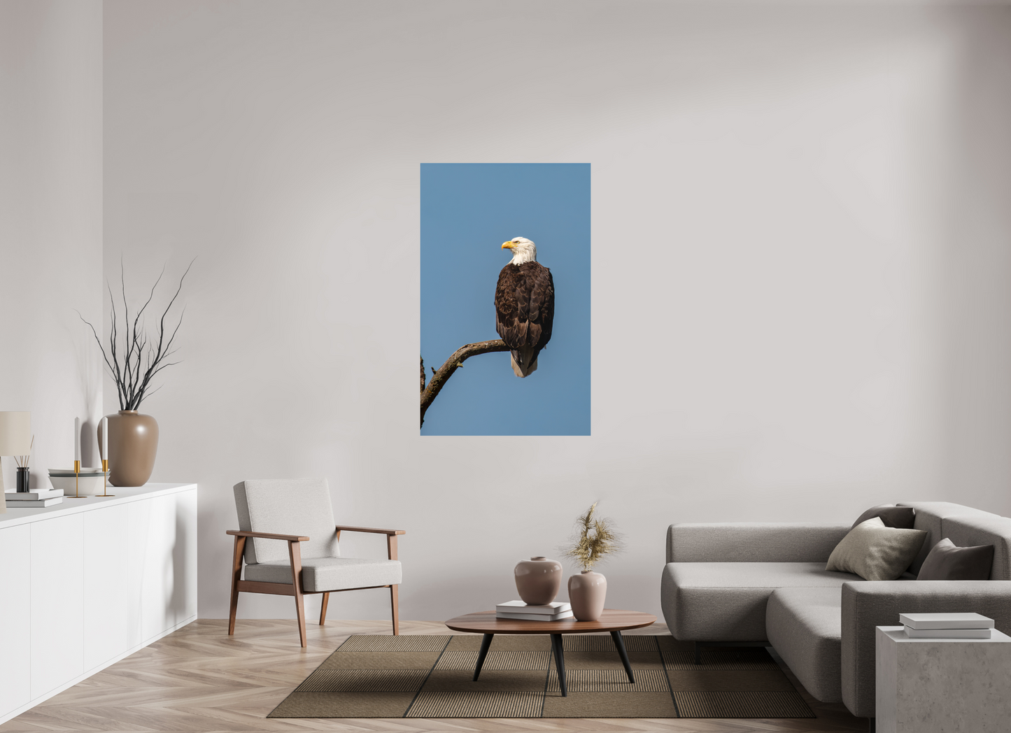 Bald Eagle Portrait