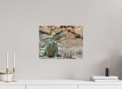 Water Dragon on Proud Rock