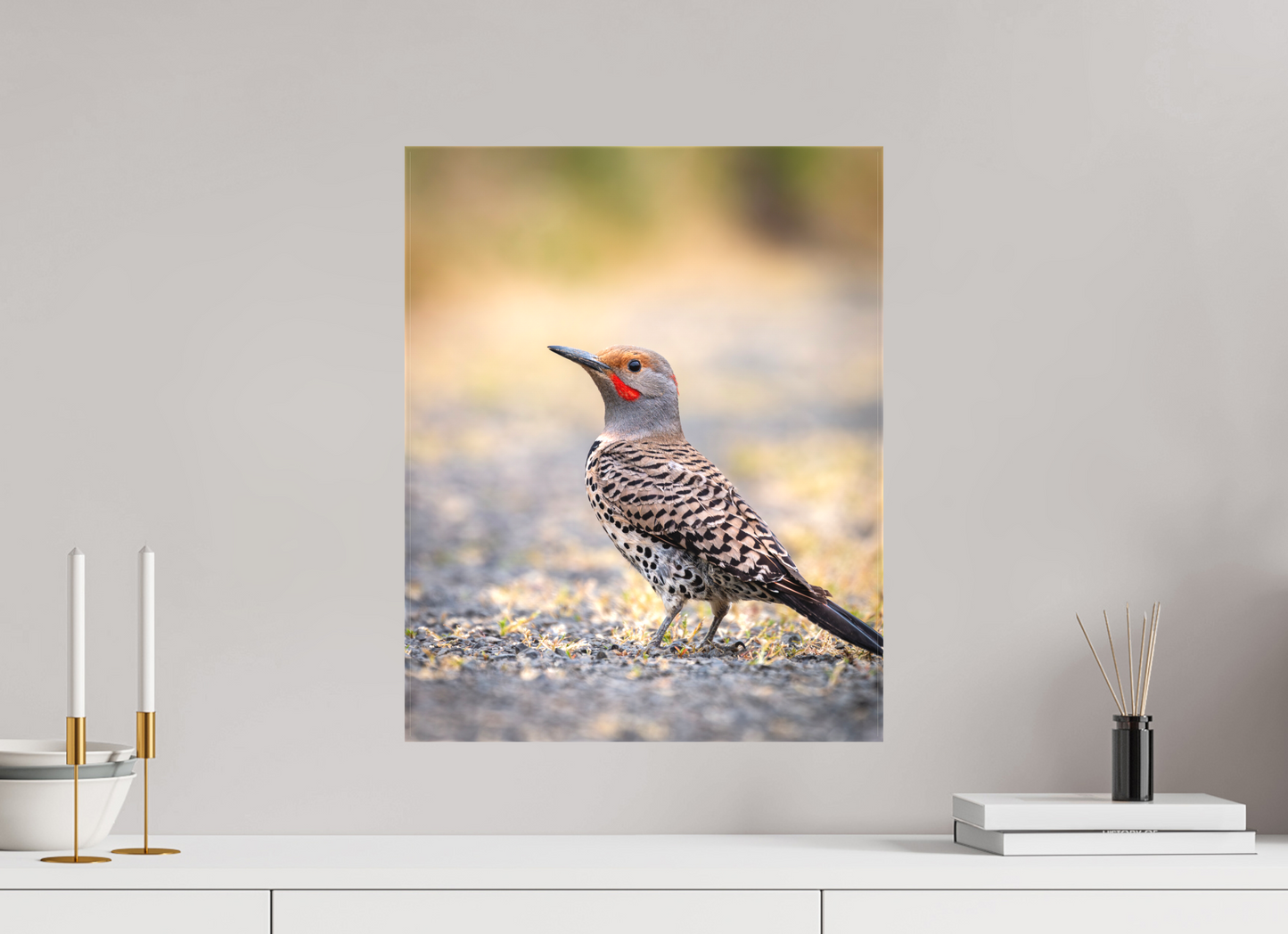 16 x 20″, Canvas Prints Remarkable Northern Flicker