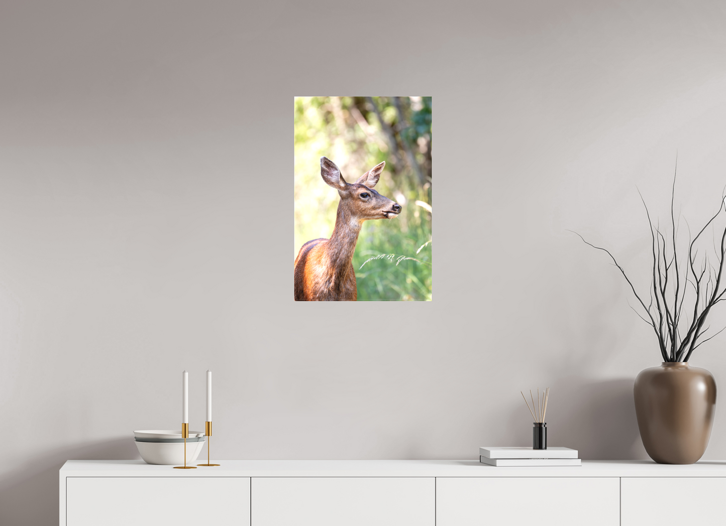 Foraging Deer