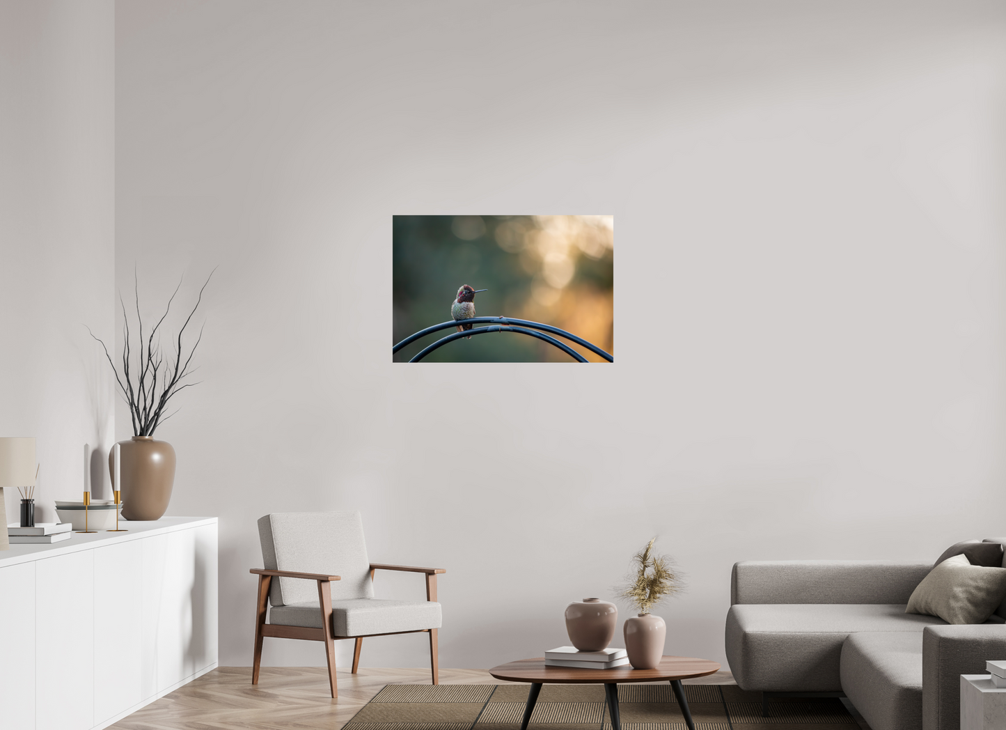Sunspot Hummingbird