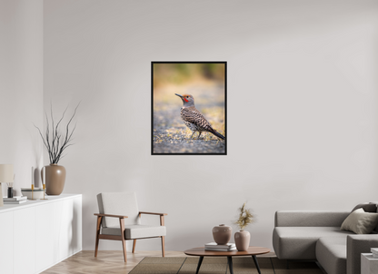 31 x 38.7″, Floater Frame Remarkable Northern Flicker