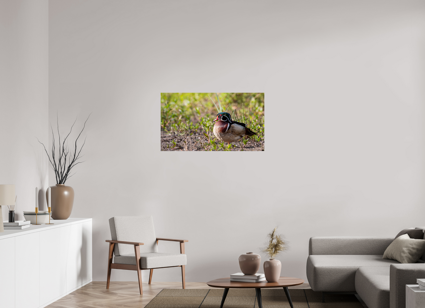 Balancing Wood Duck