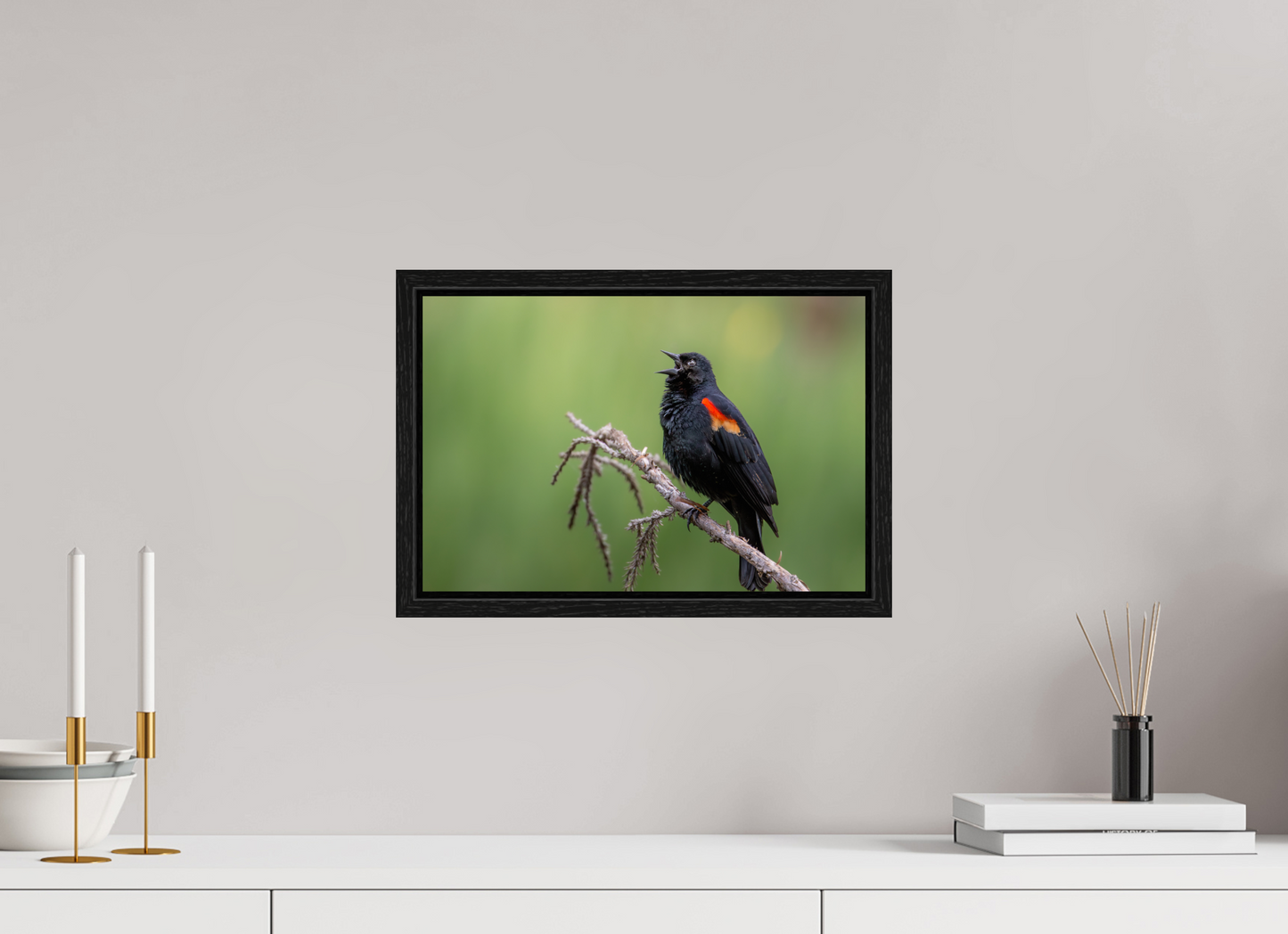 15 x 10″, Floater Frame Perched Red Winged Blackbird