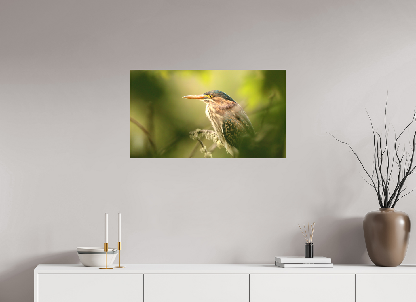 Green Heron Profile