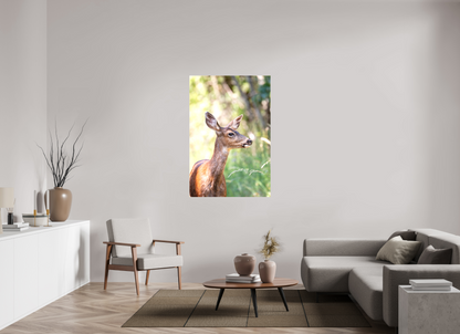 Foraging Deer