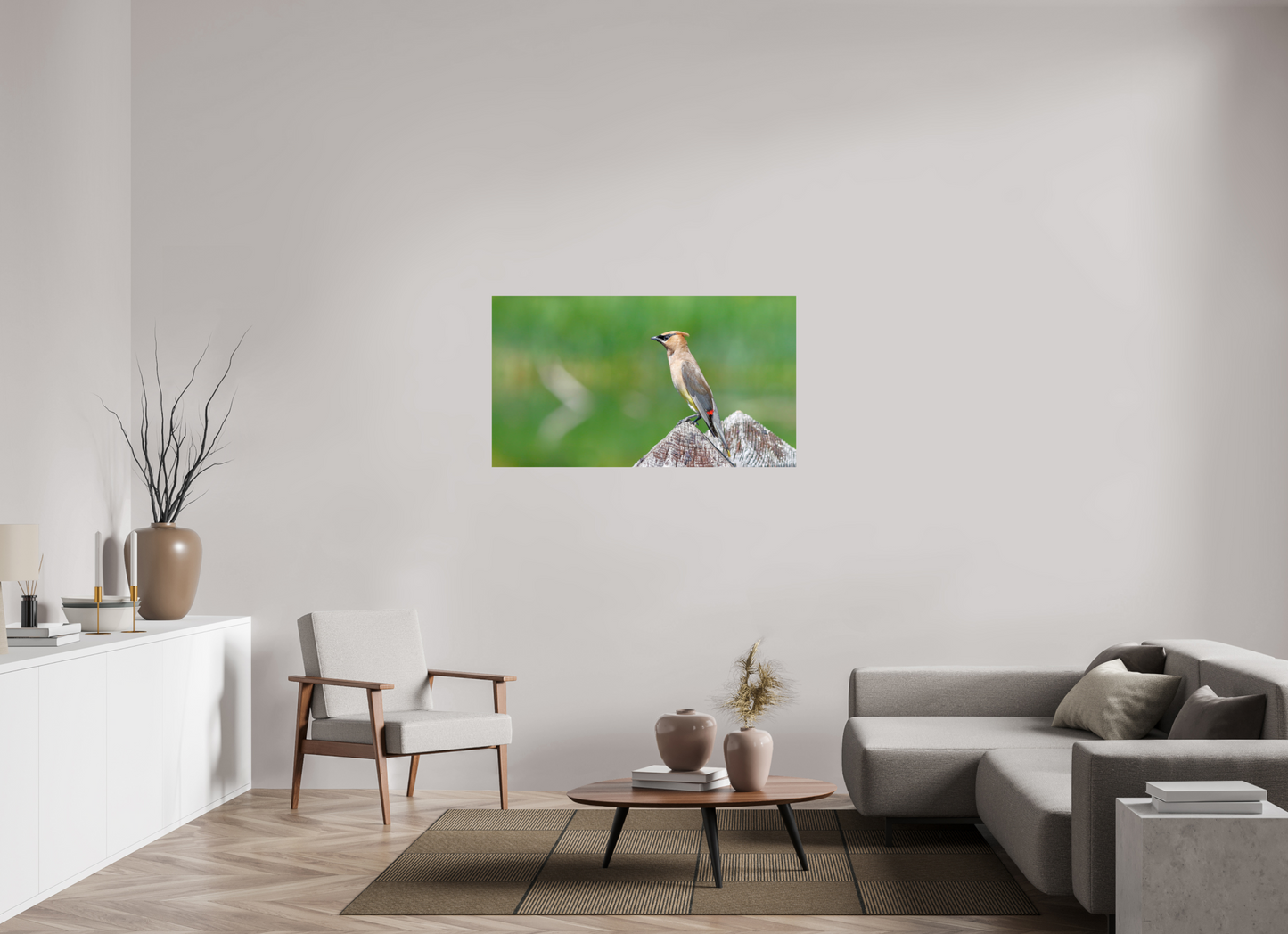 Cedar Waxwing Lookout