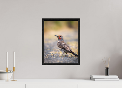 12 x 15″, Floater Frame Remarkable Northern Flicker