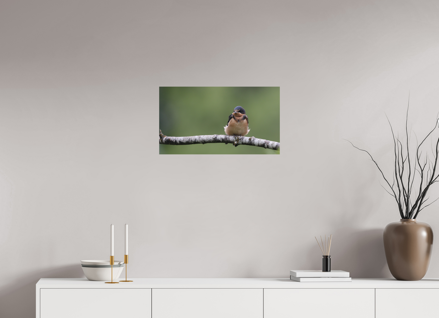Resting Barn Swallow