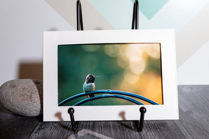 Fine Art Photography Greeting Cards | Individual 4" × 6" Photo Prints