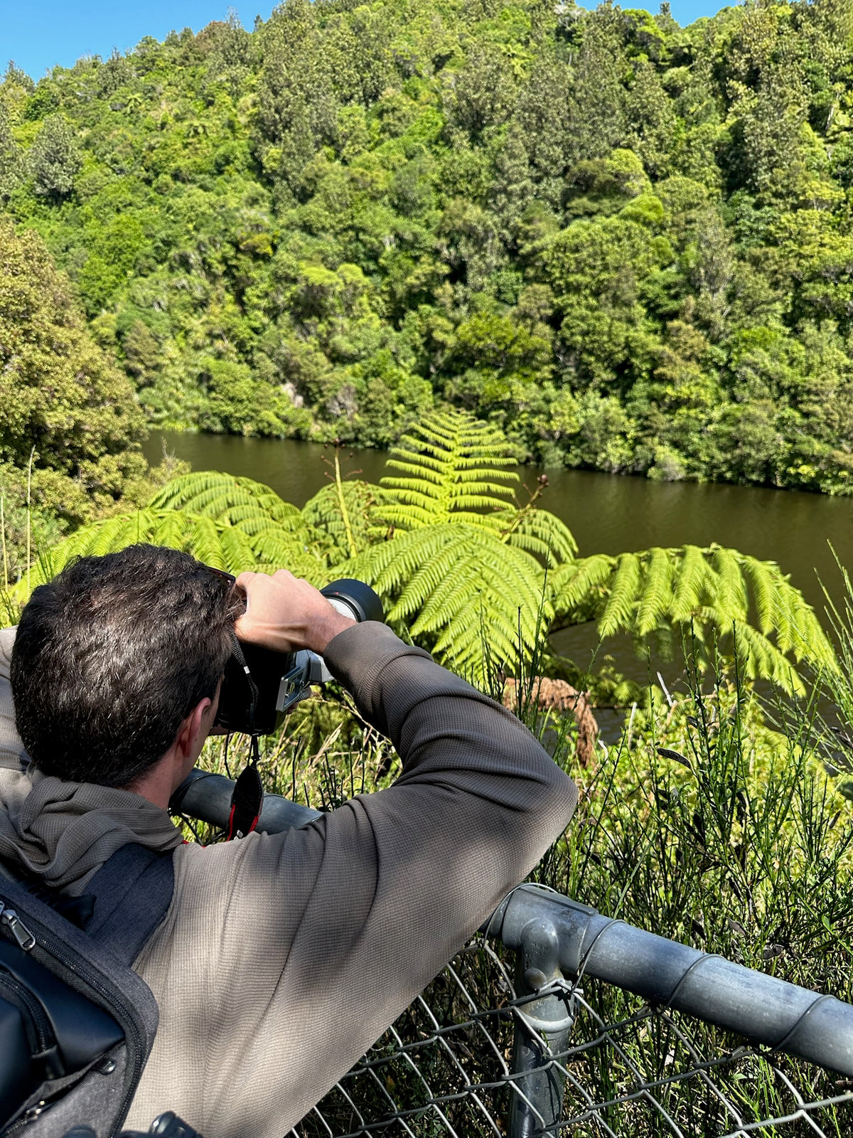 Zealandia Ecosanctuary - New Zealand