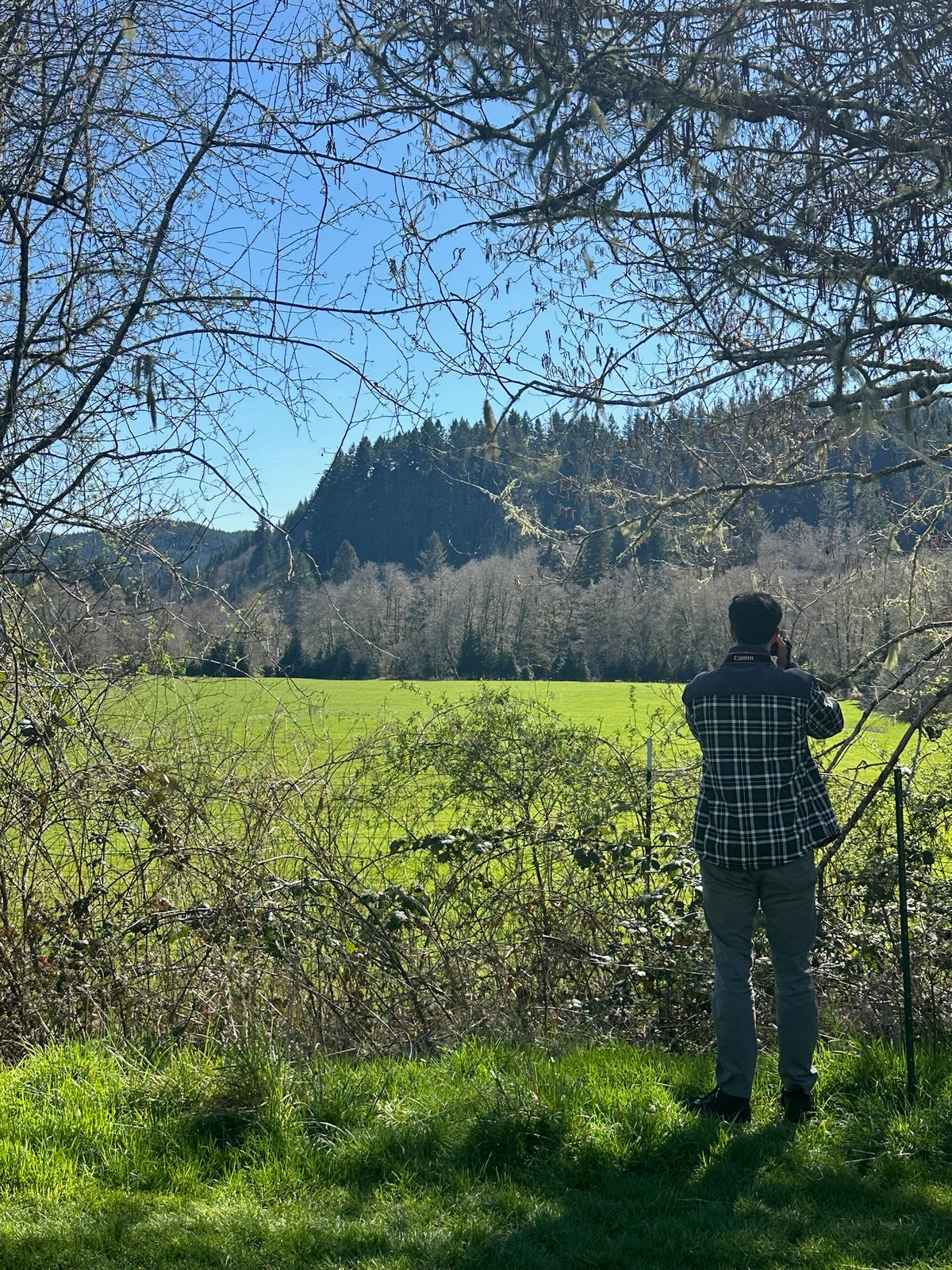 Jewell Meadows Wildlife Area - Seaside, OR, USA