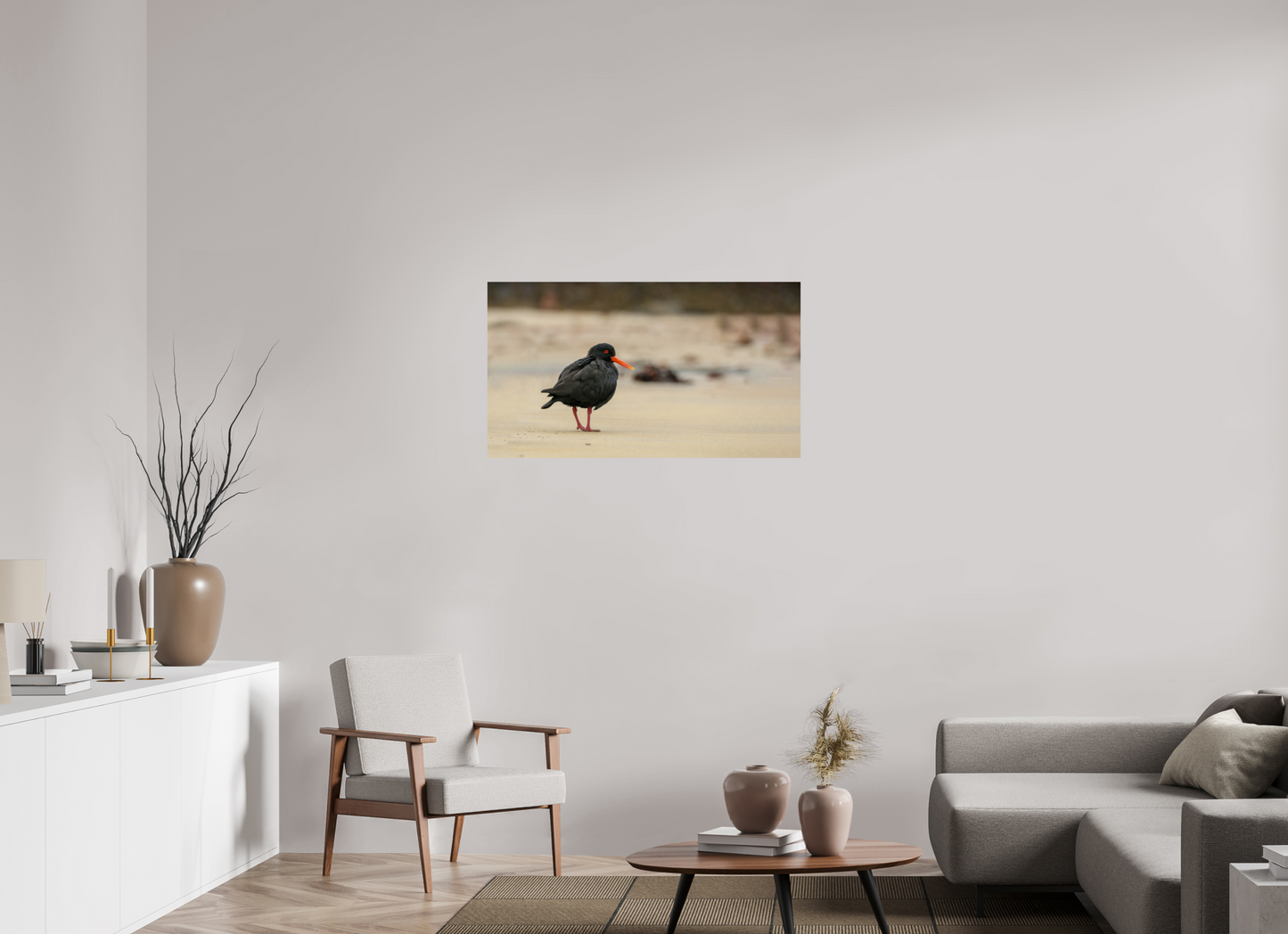 Beach Cruising Oyster Catcher
